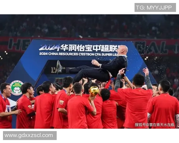 南阳省足球教练与球星榜单揭晓 揭秘十大球员背后的成功秘诀