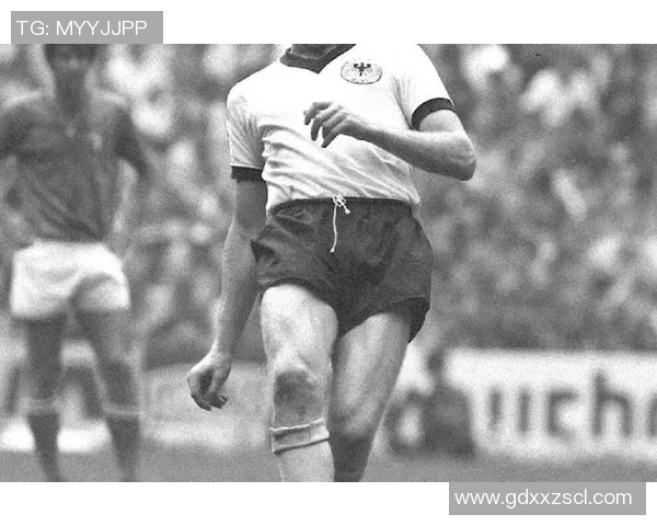 定西足球球星最新动态与球员名单更新分析